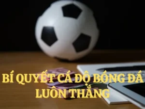Cá Cược Bóng Đá 99OK: Bí Quyết Thành Công Cho Người Chơi