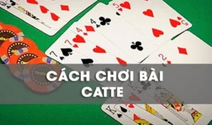 Bí Quyết Chinh Phục Sắc Tê 99OK: Hành Trang Cho Dân Cá Cược