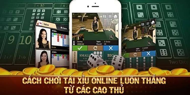 Bí Quyết Thắng Lớn: Cách Chơi Tài Xỉu 99OK Chuẩn Xác